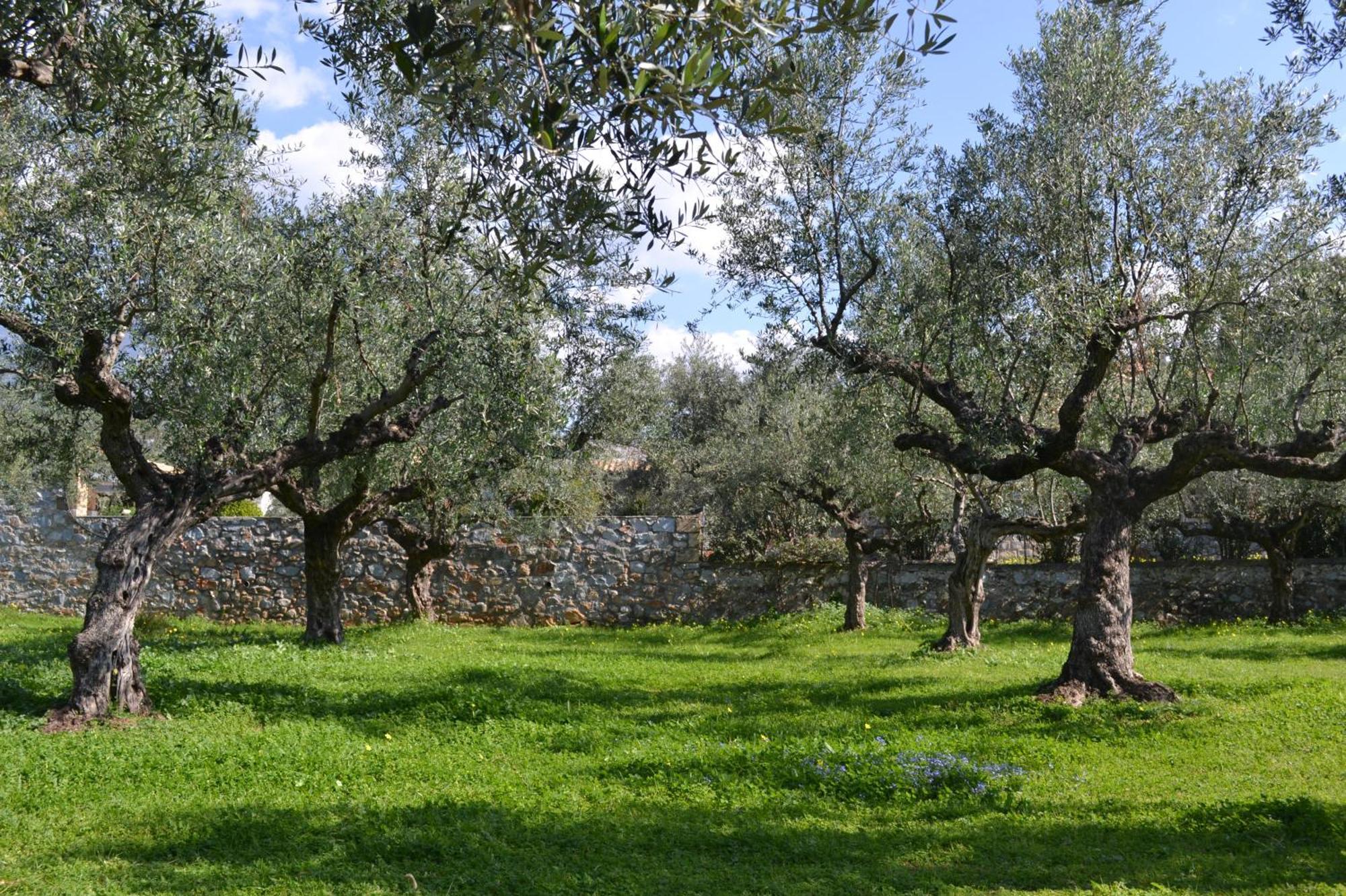 Loupino Couples Romance Stoúpa Exterior photo